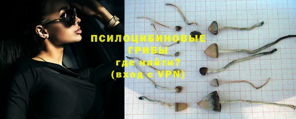 герыч Козловка