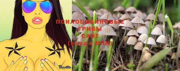 прущий лед Козельск